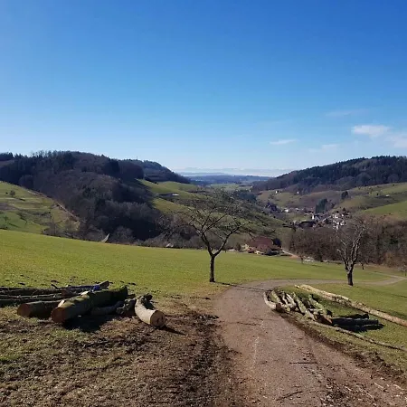公寓 Ferienwohnung Am Bildstein In Im Schwarzwald Freiamt