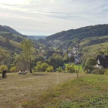 Ferienwohnung Am Bildstein In Im Schwarzwald 公寓 *